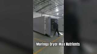 Coattech 7-HP 히트펌프 건조기 | 산업용 모링가 탈수